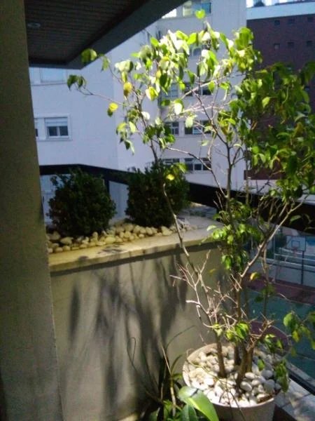 Apartamento à venda com 4 suítes em Jardim Leonor, São Paulo, SP