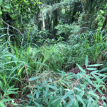 Terreno à venda no condomínio Gleba E2, Mairiporã - SP