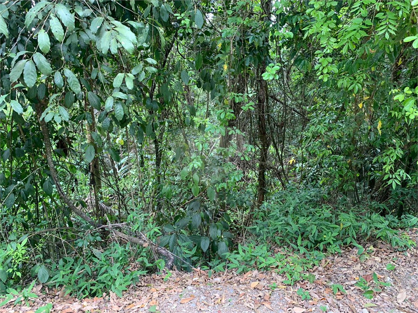 Terreno à venda no condomínio Sausalito, Mairiporã - SP