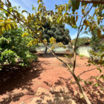 Casa à venda com 3 quartos em Jardim Brasília, Três Lagoas, MS