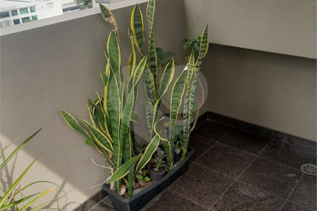 Apartamento à venda com 4 quartos, sendo 3 suítes, em Água Fria, São Paulo, SP