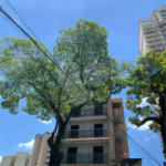 Apartamento à venda com 2 quartos, sendo 1 suíte, em Água Fria, São Paulo, SP