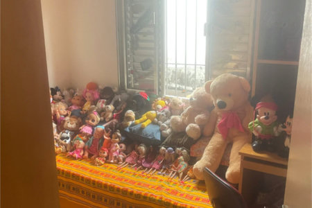Sobrado à venda com 3 quartos em Vila Nova Alba, São Paulo, SP