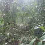 Terreno à venda em Mantiqueira, Mairiporã, SP