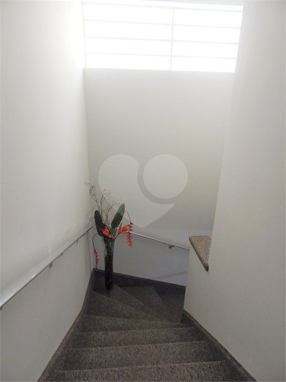 Sobrado à venda com 4 quartos, sendo 1 suíte, em Chácara Santo Antônio (zona Sul), São Paulo, SP