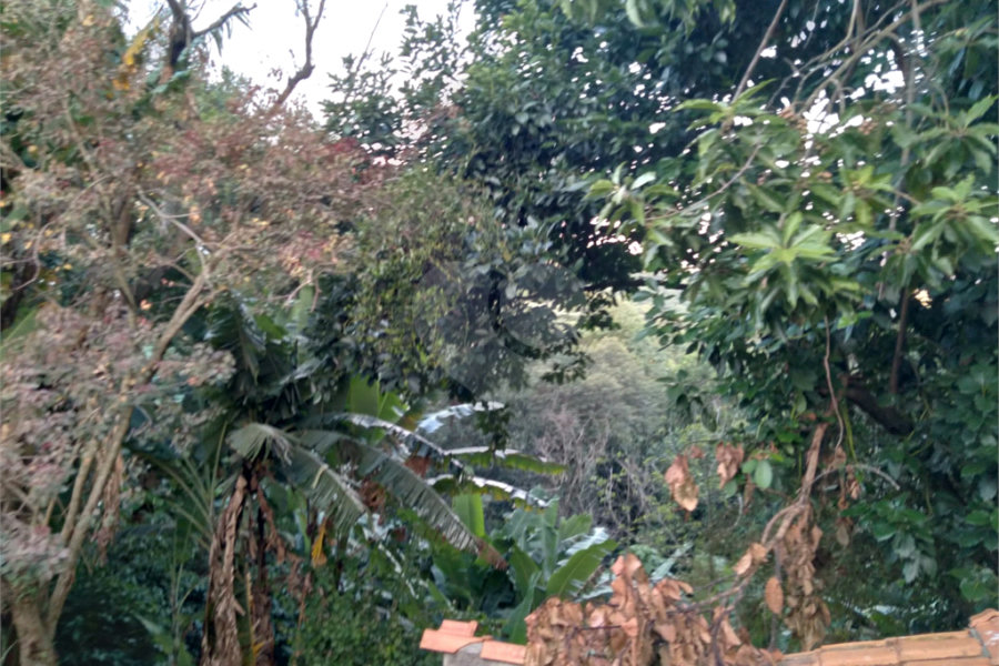 Terreno à venda em Jaraguá, São Paulo, SP