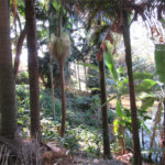 Terreno à venda em Chácara Flora, São Paulo, SP