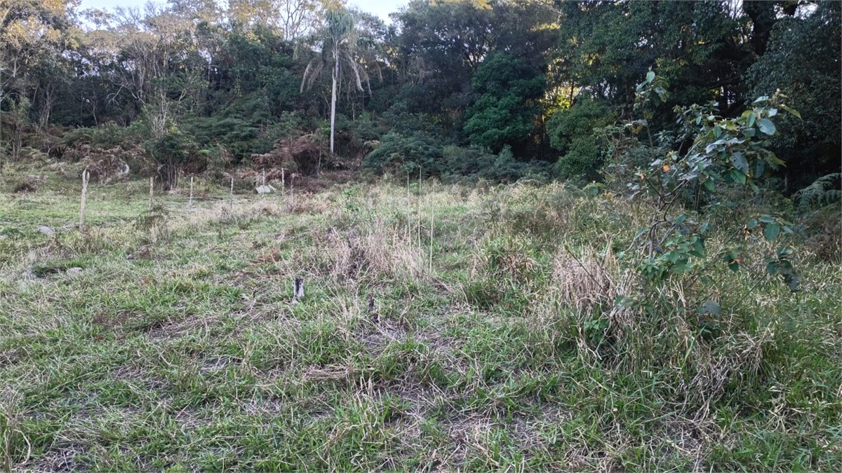 Terreno à venda em Vila Darcy Penteado (mailasqui), São Roque, SP
