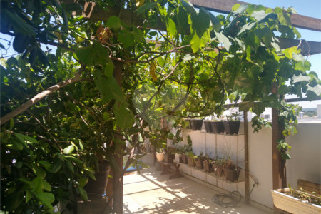 Casa à venda com 4 quartos, sendo 3 suítes, no condomínio Ibiti Royal Park, Sorocaba - SP
