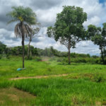 Terreno à venda no Centro, Santo Antônio do Leverger, MT
