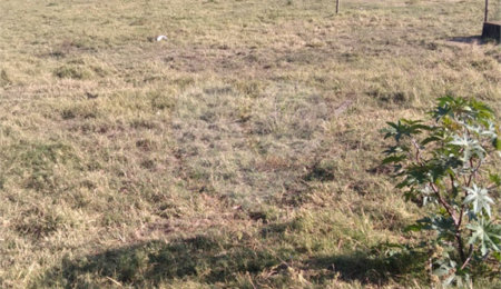 Sítio à venda com 1 suíte em Área Rural de Monte Mor, Monte Mor, SP
