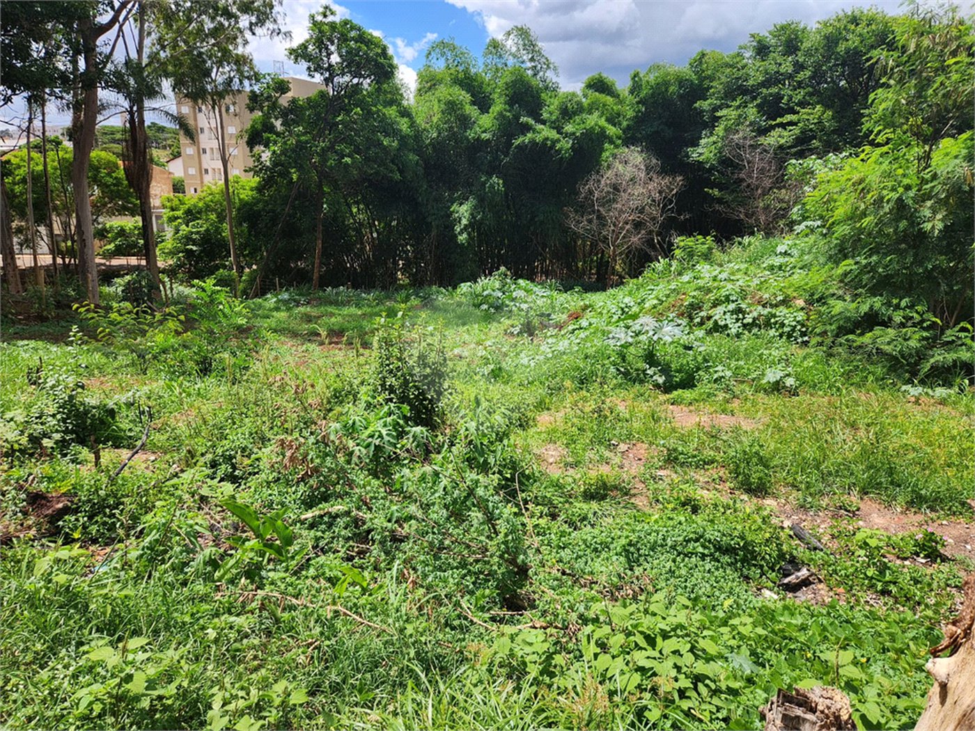 Terreno à venda em Jardim do Carmo, Araraquara, SP
