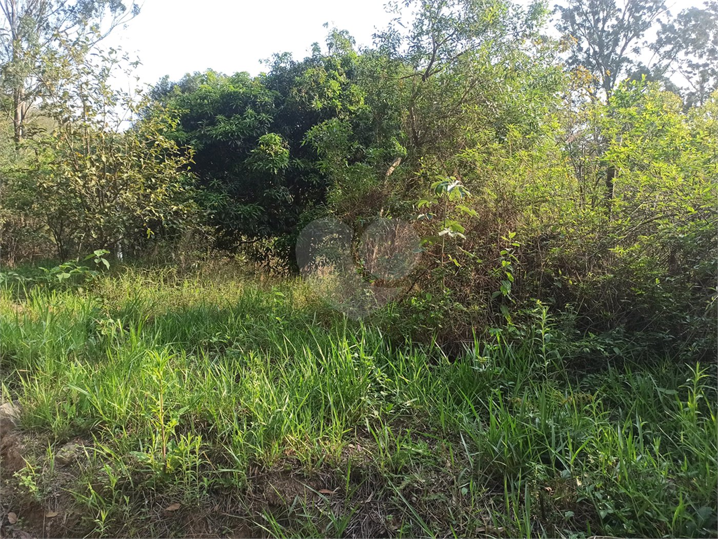 Terreno à venda em Bosque dos Eucalíptos, Atibaia, SP