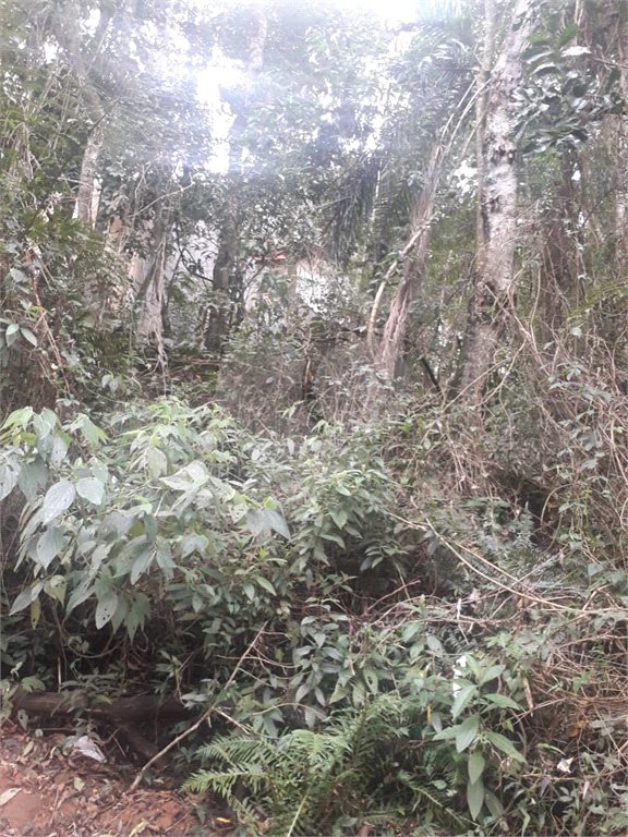 Terreno à venda em Suasalito, Mairiporã, SP