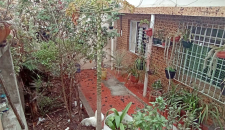 Casa Térrea à venda com 2 quartos em Vila Graziela, São Paulo, SP