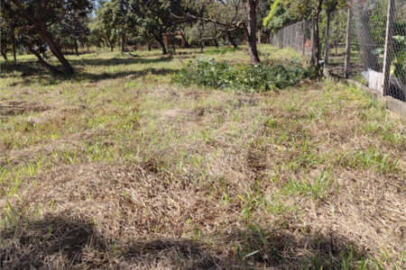 Terreno no Aracê de Santo Antonio.