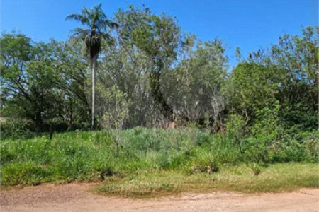 Terreno à venda Pedro Juan Caballero - PY-13