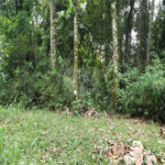 Terreno à venda em Serra da Cantareira, Mairiporã, SP