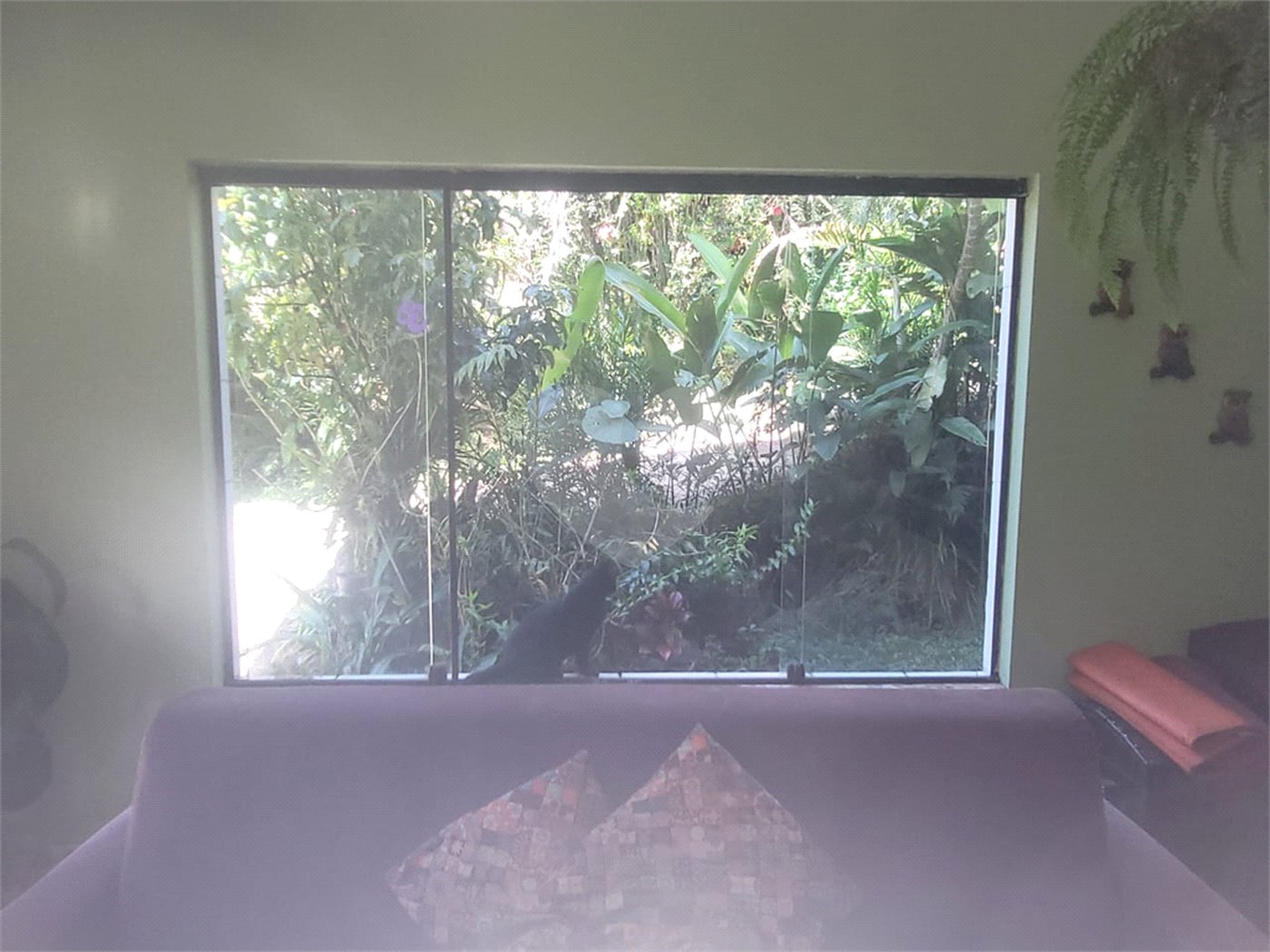 Chácara à venda com 3 quartos em Parque Alvorada, Suzano, SP