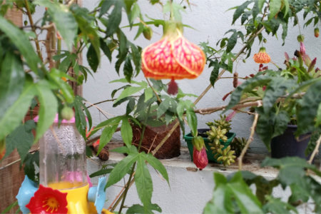 Linda casa para venda em Indaiatuba/SP com pomar.