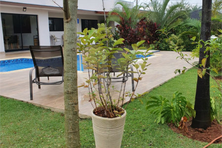 Casa à venda com 3 suítes no condomínio Village Ipanema 1, Araçoiaba da Serra - SP