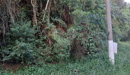 Terreno à venda no condomínio Associação Reserva das Hortênsias, Mairiporã - SP
