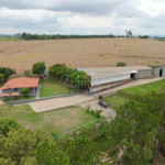 Galpão à venda em Éden, Sorocaba, SP
