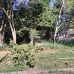 Terreno à venda em Tucuruvi, São Paulo, SP