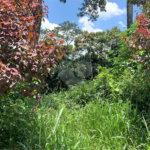 Terreno à venda em Roseira, Mairiporã, SP