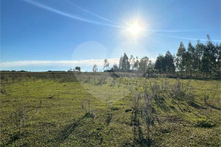 Terreno à venda em Sanga Puita, Ponta Porã, MS