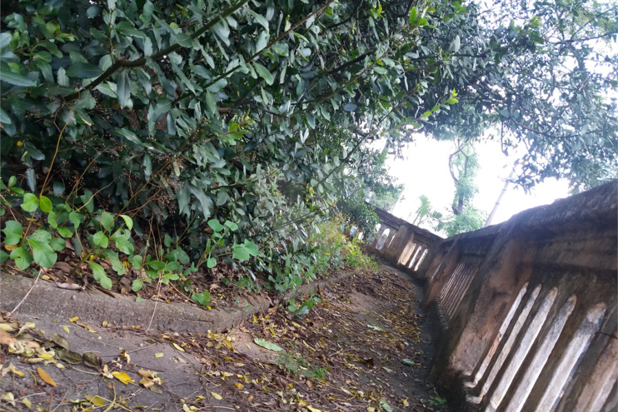 Terreno à venda com 3 quartos em Vila Guilherme, São Paulo, SP