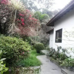 Casa à venda ou para alugar com 5 quartos, sendo 3 suítes, em Mandaqui, São Paulo, SP