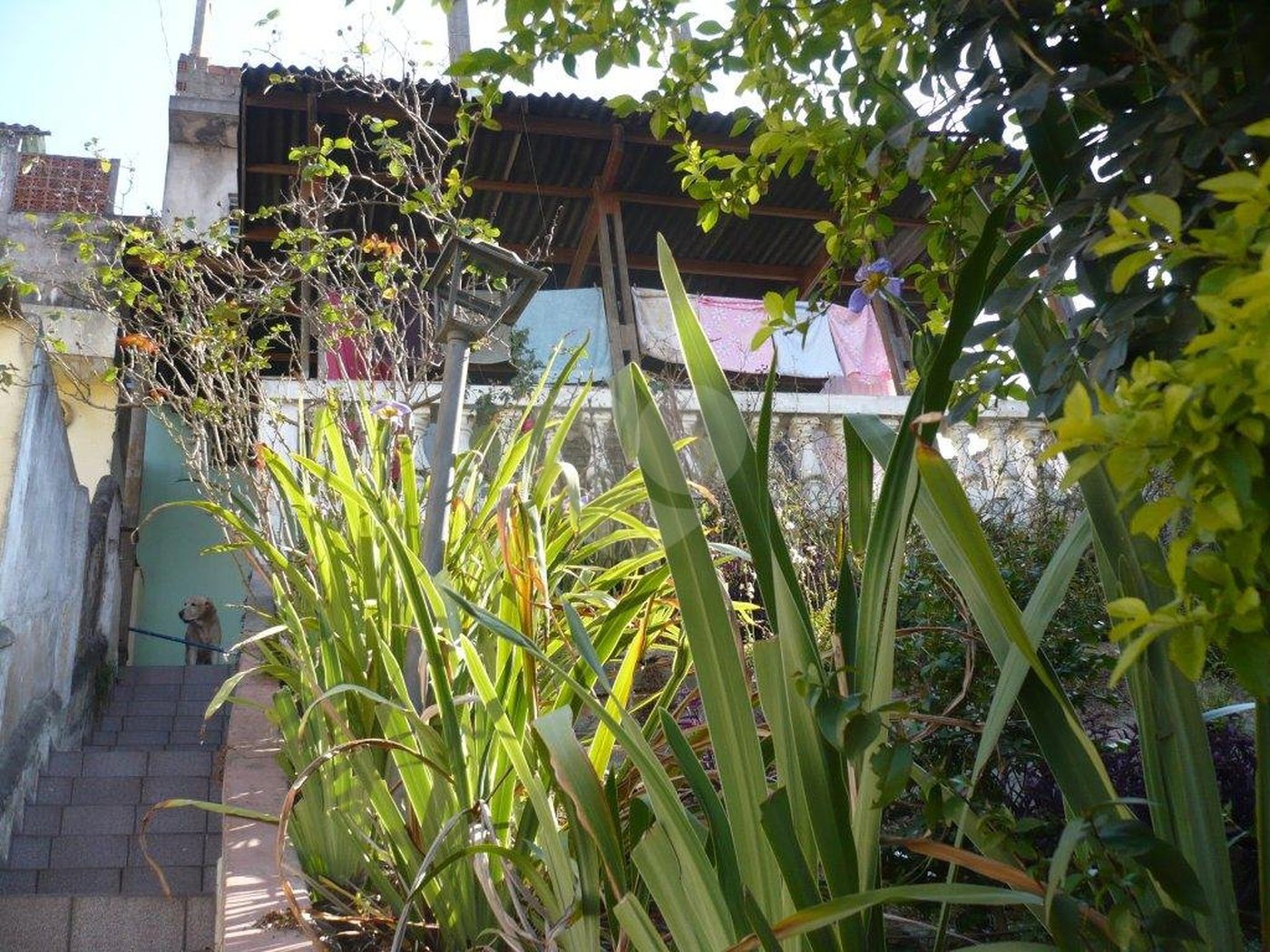 Sobrado à venda com 2 quartos em Vila Guilherme, São Paulo, SP