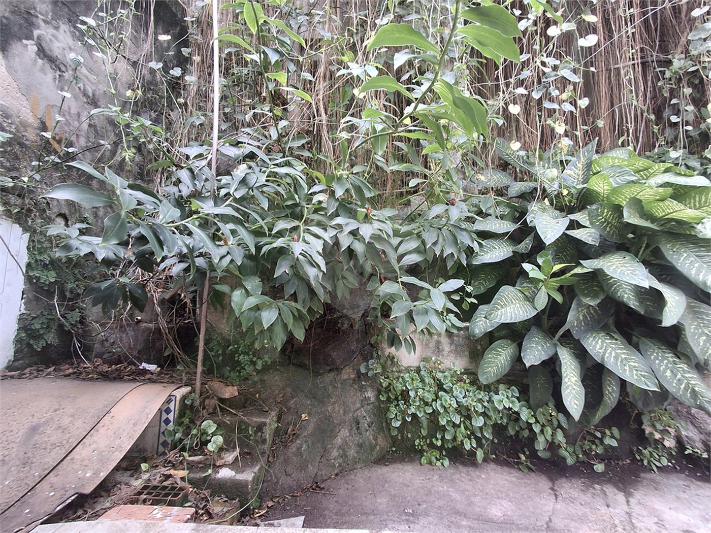 Casa à venda com 3 quartos em Andaraí, Rio de Janeiro, RJ