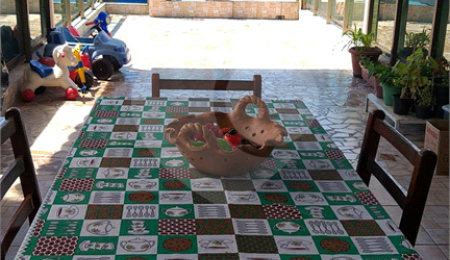 Sobrado à venda com 4 quartos, sendo 2 suítes,  em Parque Edu Chaves, São Paulo, SP