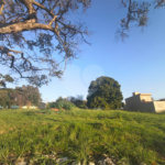 Oportunidade Rara! Área de 1.560 m² no Jardim Paulista – São Carlos/SP