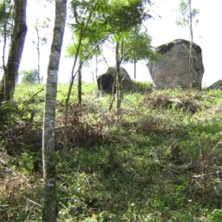 Área de Terra à venda em Alto da Serra (mailasqui), São Roque, SP