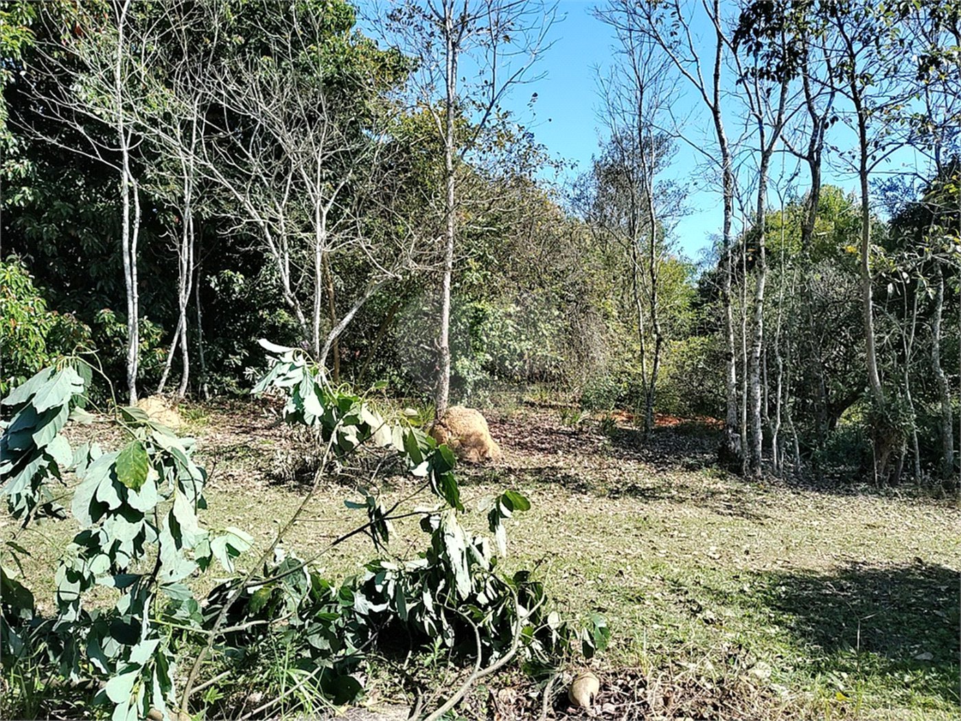 Sítio à venda com 3 quartos, sendo 1 suíte,  em Da Barra, Salto de Pirapora, SP