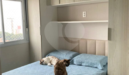 Apartamento à venda com 2 quartos em Vila Gustavo, São Paulo, SP