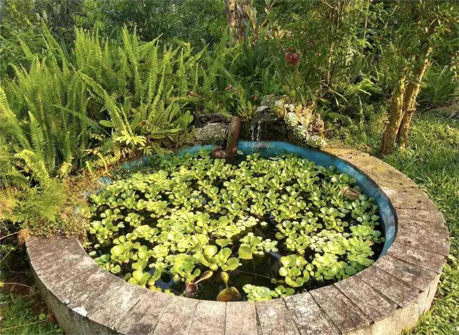 Terreno à venda com 6 quartos no condomínio Quinta dos Lagos, Cotia - SP
