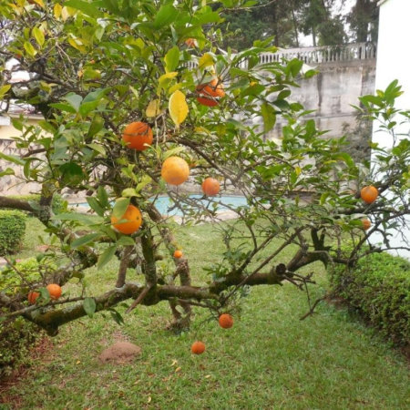 Casa Térrea à venda com 4 quartos, sendo 3 suítes, em Jardim Franca, São Paulo, SP