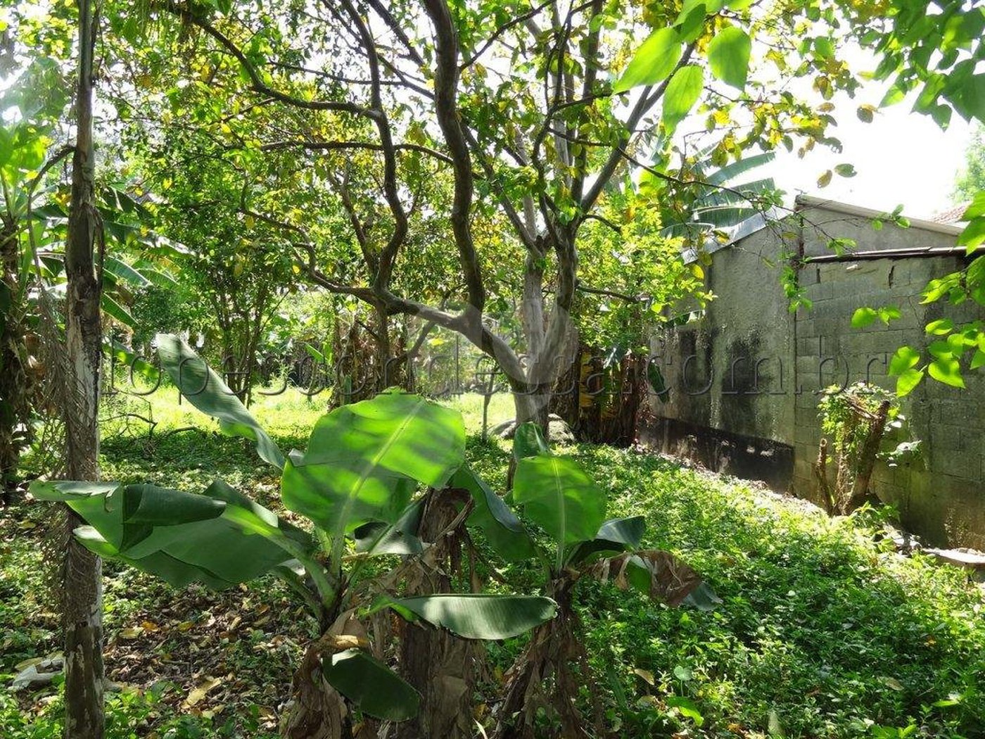 Terreno à venda em Horto Florestal, São Paulo, SP