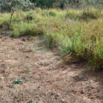 Terreno à venda em Monterrey, Louveira, SP
