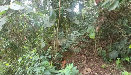 Terreno à venda em Mantiqueira, Mairiporã, SP