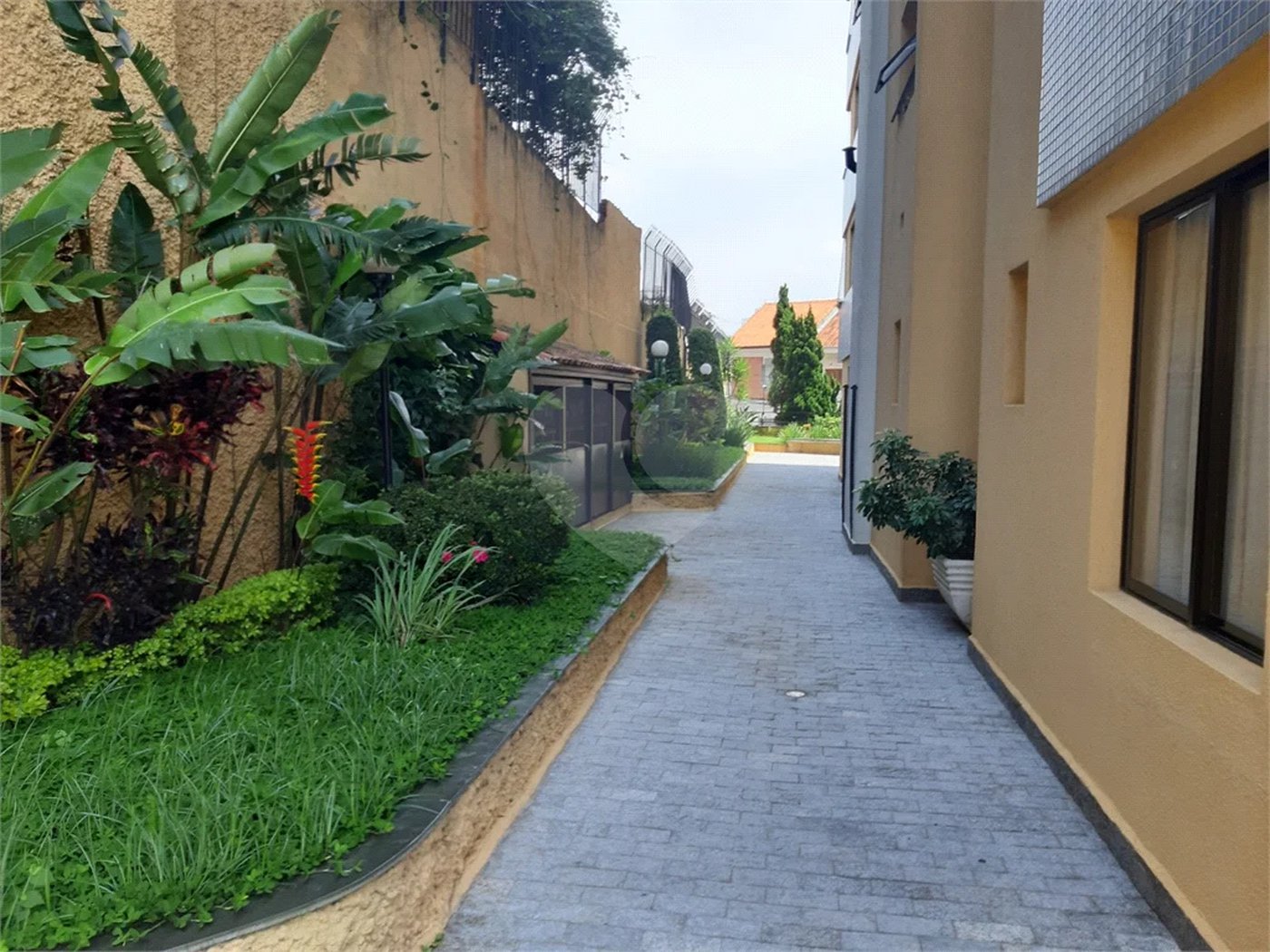 Apartamento à venda com 3 quartos, sendo 2 suítes,  em Água Fria, São Paulo, SP