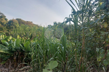 Terreno à venda em Santa Claudina, Vinhedo, SP