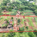Terreno à venda em Jardim Itaú, Ribeirão Preto, SP