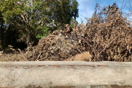 Terreno Comercial à Venda na Av. Teixeira de Barros – Rua Larga