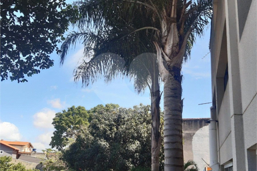 Apartamento à venda com 3 quartos, sendo 1 suíte, em Pirituba, São Paulo, SP