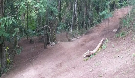 Sítio à venda no Centro, Monte Sião, MG